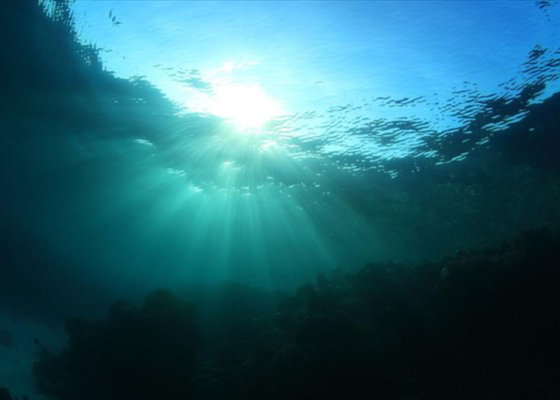 Core Strategy - Healing water recognized in Rizoma